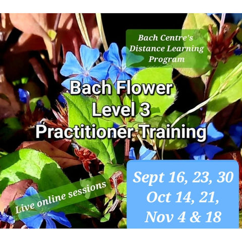 Level 3 Online Sessions & Distance Learning Program - Fall 2023