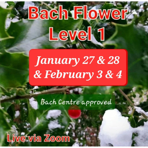 Level 1 Bach Flower Course ~ via Zoom ~ Jan/Feb 2024