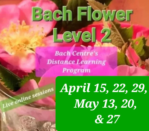 Level 2 Online Sessions & Distance Learning Program - Spring 2026