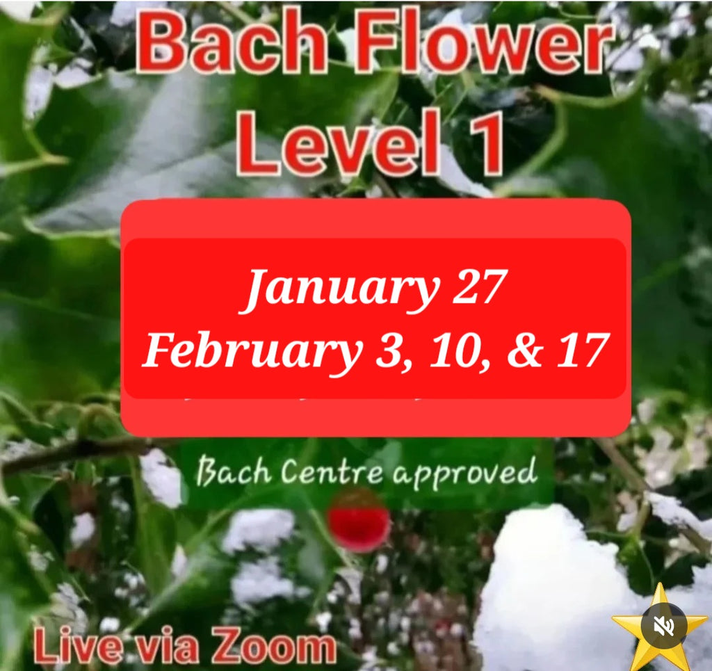 Level 1 Bach Flower Course ~ via Zoom ~ Jan & Feb 2027