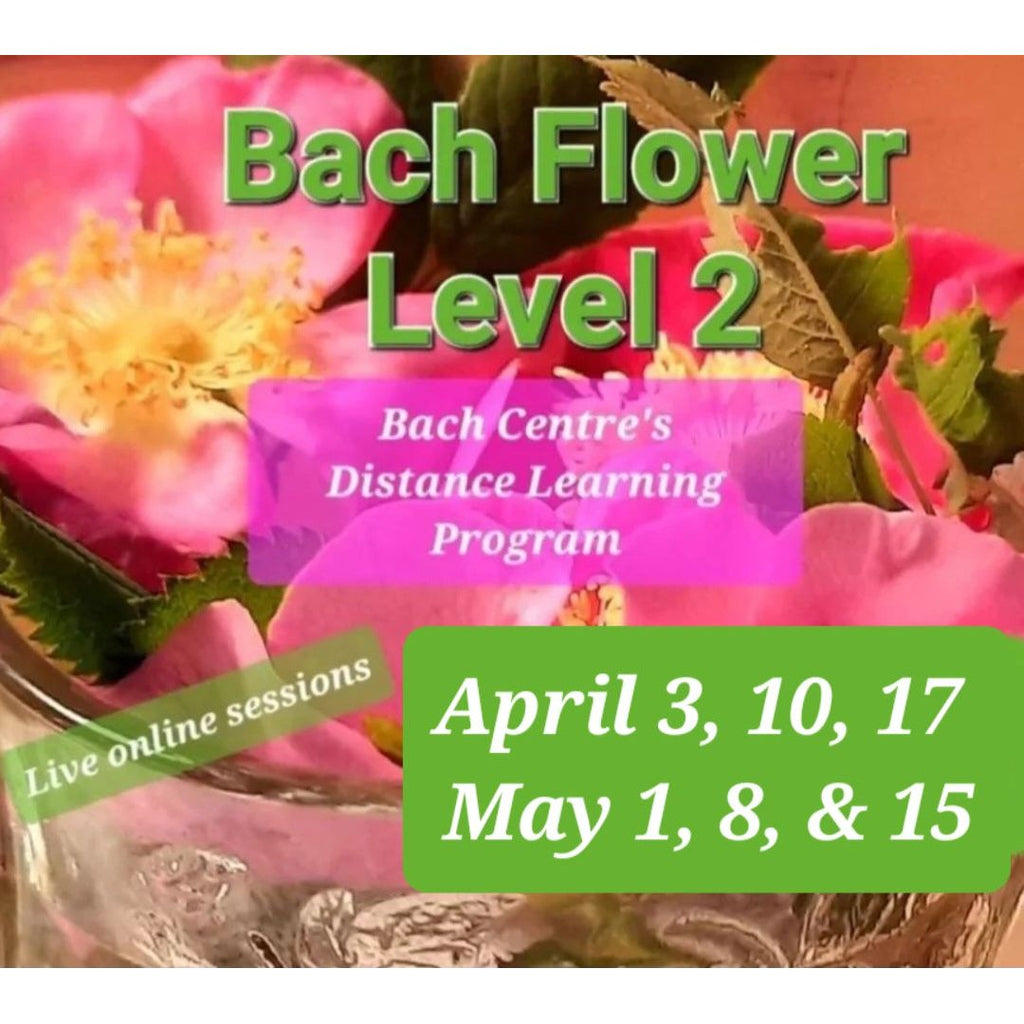 Level 2 Online Sessions & Distance Learning Program - Spring 2024