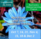 Level 3 Online Sessions & Distance Learning Program - Fall 2026