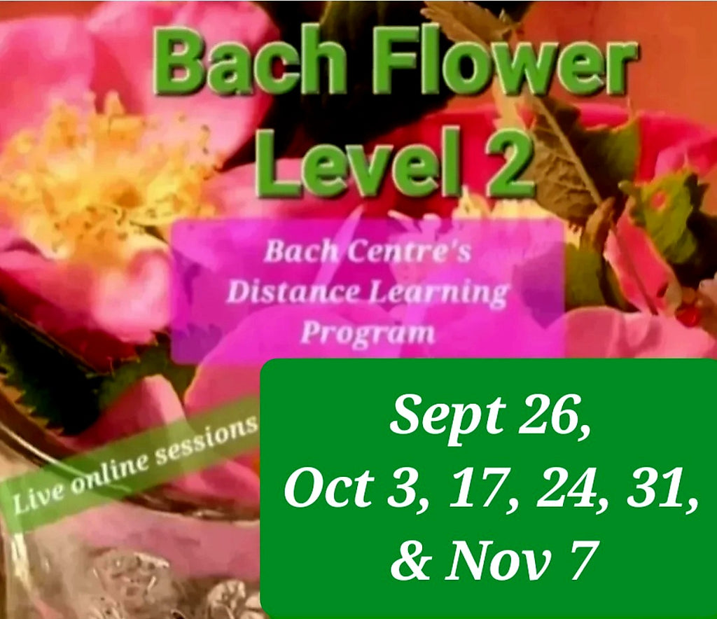 Level 2 Online Sessions & Distance Learning Program - Fall 2026