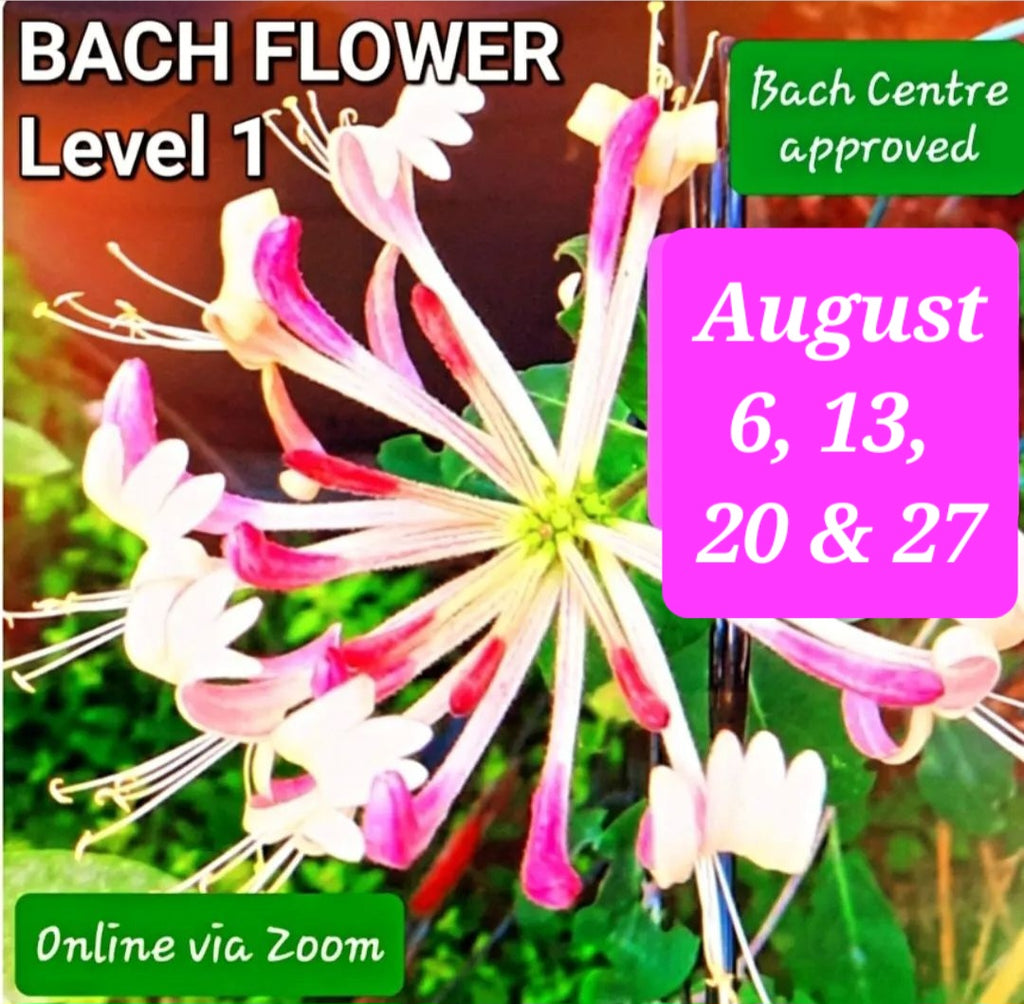 Level 1 Bach Flower Course ~ via Zoom ~ August 2025