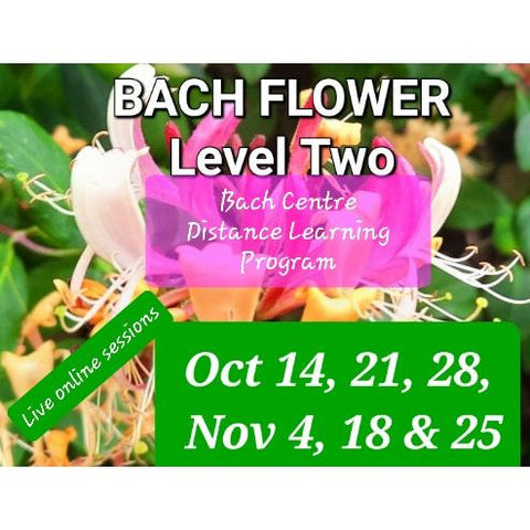 Level 2 Online Sessions & Distance Learning Program - Fall 2025