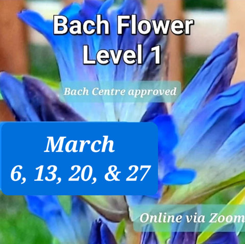 Level 1 Bach Flower Course ~ via Zoom ~ March 2024