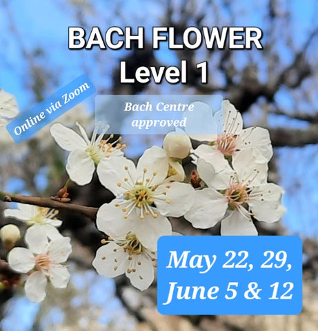 Level 1 Bach Flower Course ~ via Zoom ~ May/June 2024