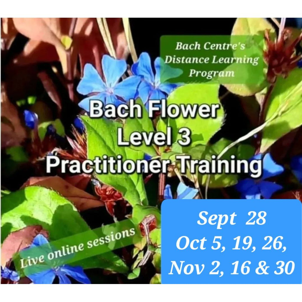 Level 3 Online Sessions & Distance Learning Program - Fall 2024