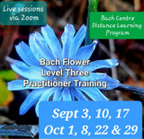 Level 3 Online Sessions & Distance Learning Program - Fall 2025