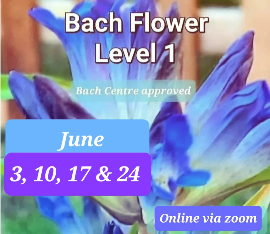 Level 1 Bach Flower Course ~ via Zoom ~June 2026
