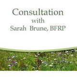 Consultation with Sarah Brune, BFRP (One hour)