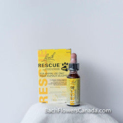 Rescue Pet - 10ml - alcohol free