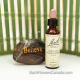 Individual Bach remedy stock bottles- 20 ml